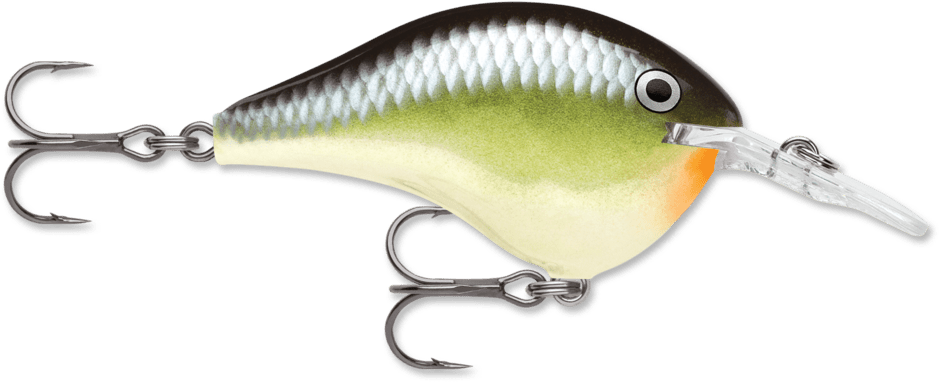 Rapala - DT - 6 - Hengelsport De Goeie Vangst