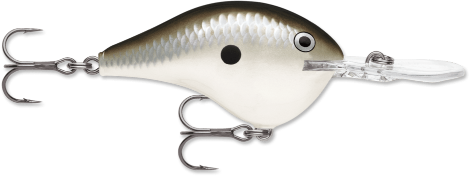 Rapala - DT - 6 - Hengelsport De Goeie Vangst