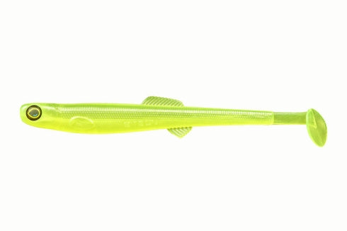 Anchovy Shad