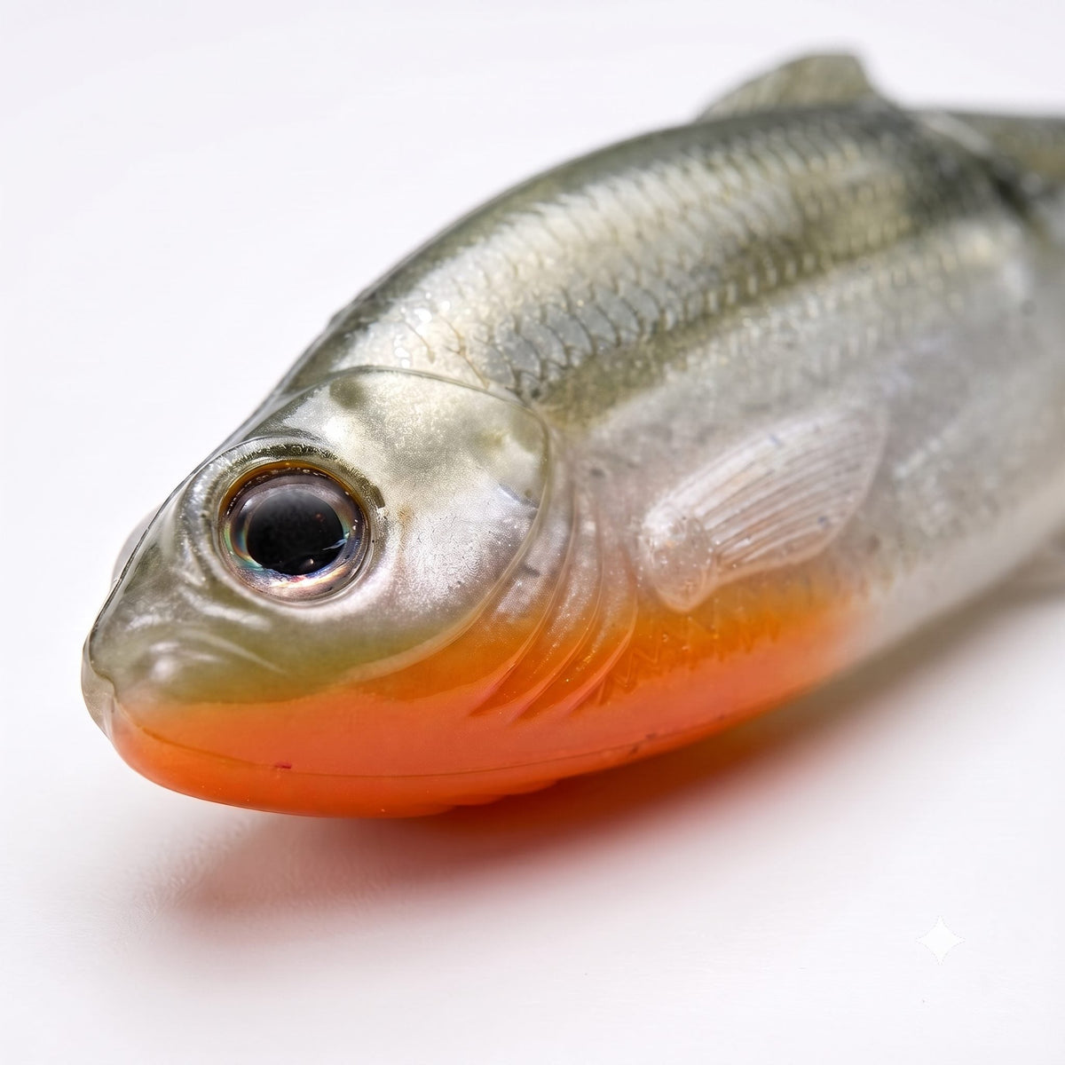 Bite On-Luky Roach Shad-14cm-AYU-De Goeie Vangst