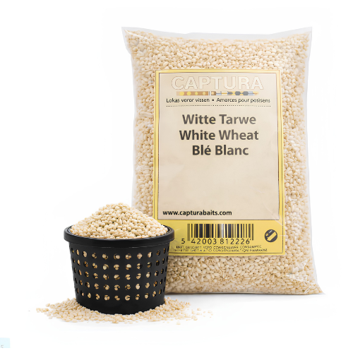 Witte Tarwe | 2.5kg