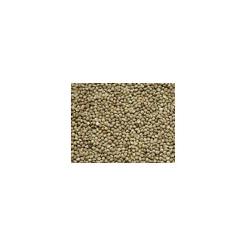 Capture Fishing-Hempseed - Hengelsport De Goeie Vangst