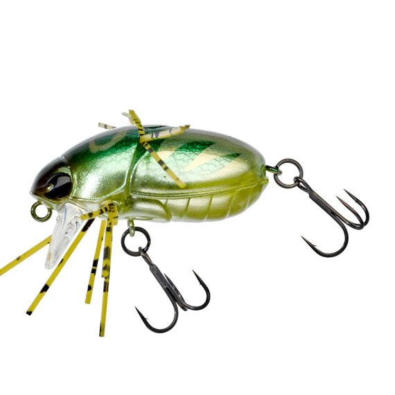 Jackall-Chubby Bug 35-3.5cm-Cockroach-Hengelsport De Goeie Vangst