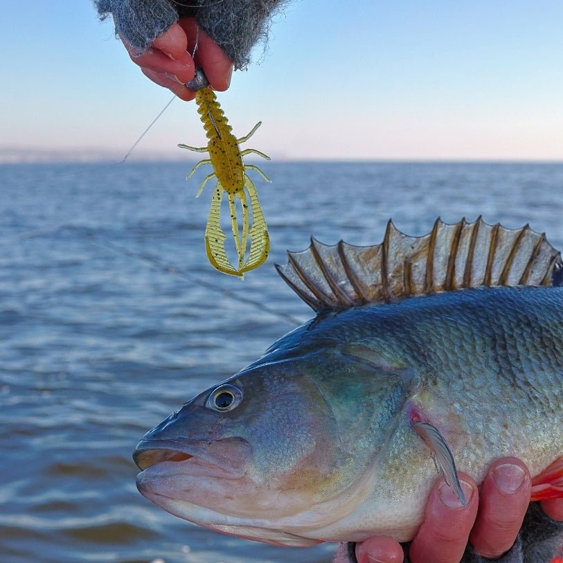 Kuore - Bouncer Creature Bait - - Hengelsport De Goeie Vangst