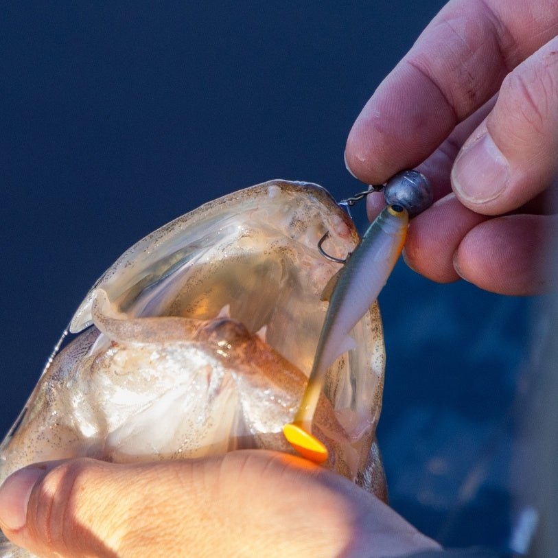 Kuore - Recoil Shad - - Hengelsport De Goeie Vangst