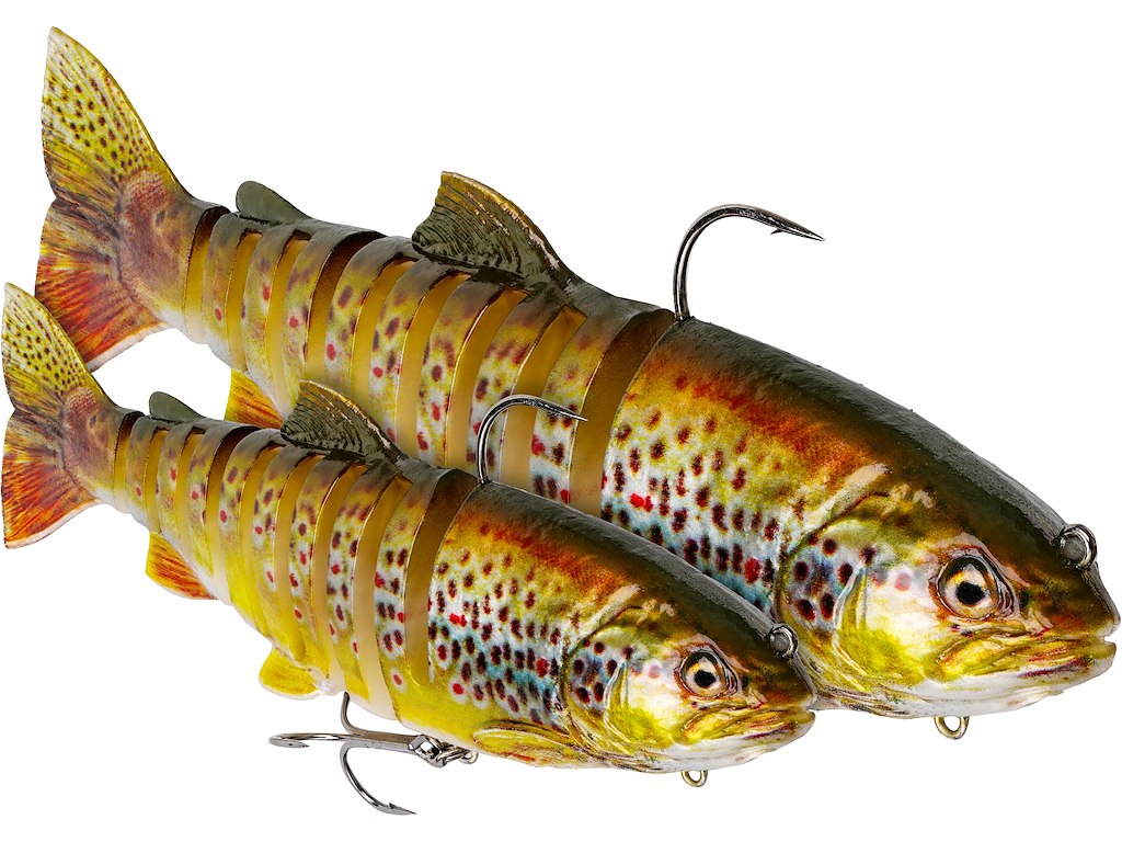 Tommy The Trout Multi Jointed R2F