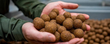 Boilies kiezen voor karper: diameter, smaak en seizoen uitgelegd - Hengelsport De Goeie Vangst