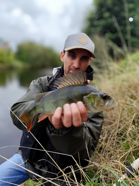 Streetfishing op Baars: Stekken, Kunstaas & Techniek - De Goeie Vangst