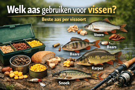 Welk aas gebruiken voor vissen? Per vissoort uitgelegd - Hengelsport De Goeie Vangst