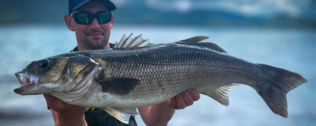 Zo vang je zeebaars: technieken, aas & tips voor beginners - Hengelsport De Goeie Vangst