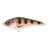 Spro-The Rapper Jerkbait-UV Perch-12,8cm-Hengelsport De Goeie Vangst