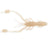 Reins-Ring Shrimp 2"-5cm-Shrimp-Hengelsport De Goeie Vangst