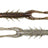 Z-Man-TRD hogZ 3"-Delta craw-7.5cm-Hengelsport De Goeie Vangst