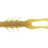 Z-Man-TRD hogZ 3"-Motor Oil-7.5cm-Hengelsport De Goeie Vangst