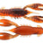 Z-Man-Pro CrawZ 3.5"-Green Pumpkin / Orange-8.9cm-Hengelsport De Goeie Vangst