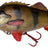 Savage Gear-4D Line Thru Perch Shad-Perch-20cm-Hengelsport De Goeie Vangst