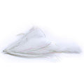 Bim Tackle-Chacha Tail-White Shiner-18cm-Hengelsport De Goeie Vangst