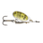 Dam-Effzett Executor Spinner-Reflex Gold-1 | 3g-Hengelsport De Goeie Vangst