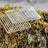 Extracarp-Boilie Stops Set (216 stuks)-MIX - Hengelsport De Goeie Vangst