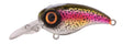 Spro - Fat Iris 50 CR - Hengelsport De Goeie Vangst