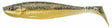 Gunki - Bumpy Softbait - Hengelsport De Goeie Vangst