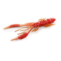 Nays-CRTR (Creature)-C08-3" / 7.6cm-Hengelsport De Goeie Vangst