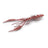 Nays-CRTR (Creature)-C13-3" / 7.6cm-Hengelsport De Goeie Vangst