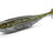 Nays-VNM Shad-3.5" / 8.9cm-C01-Hengelsport De Goeie Vangst