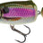Salmo-Frisky Deep Runner-7cm-Spot Bait-Hengelsport De Goeie Vangst