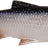 Savage Gear-3D LB Roach Paddle Tail-Roach-7.5cm-Hengelsport De Goeie Vangst