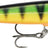 Rapala-Floater Elite-Gdp-8.5cm-Hengelsport De Goeie Vangst