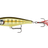 Rapala-Skitter Pop-Striped Grey Shiner-7cm-Hengelsport De Goeie Vangst