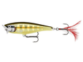 Rapala-Skitter Pop-Striped Grey Shiner-7cm-Hengelsport De Goeie Vangst