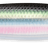 Rapala-Kallan-Live Herring-11cm-Hengelsport De Goeie Vangst