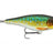 Rapala-Twitchin Rap Jerkbait-Rock n Roach-12cm-Hengelsport De Goeie Vangst