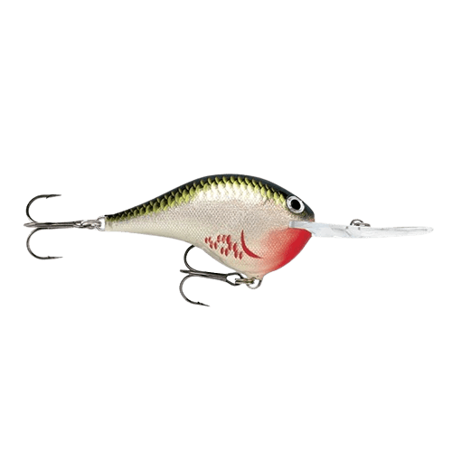 Rapala-DT-10-Bleeding Olive Shiner-6 cm-Hengelsport De Goeie Vangst