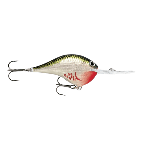 Rapala-DT-10-Bleeding Olive Shiner-6 cm-Hengelsport De Goeie Vangst