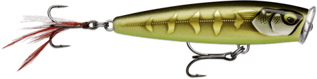 Rapala - Skitter Pop Elite - Hengelsport De Goeie Vangst