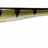 Savage Gear-Monster Shad-Perch-18cm-Hengelsport De Goeie Vangst