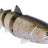 Spro-BBZ-1 Swimbait 80 Fast Sink-Rainbow trout-20cm-Hengelsport De Goeie Vangst