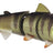 Spro-BBZ-1 Swimbait 60 Slow Sinking-Wicked Perch-15cm-Hengelsport De Goeie Vangst