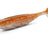 Nays-VNM Shad-3.5" / 8.9cm-C06-Hengelsport De Goeie Vangst