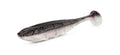 Nays-VNM Shad-3.5" / 8.9cm-C14-Hengelsport De Goeie Vangst