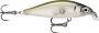 Rapala-X-Light Minnow-5cm-Ghost Shiner-Hengelsport De Goeie Vangst