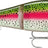 Rapala-Super Shadow Rap Glide-11cm-Live Rainbow Trout-Hengelsport De Goeie Vangst