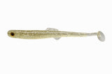Anchovy Shad
