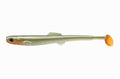 Anchovy Shad