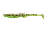 Anchovy Shad