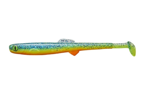 Anchovy Shad