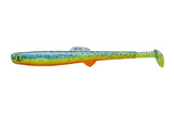 Anchovy Shad